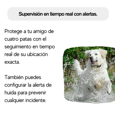 Collar GPS para Perros - Adecuado para todos los perros | Aldercrest