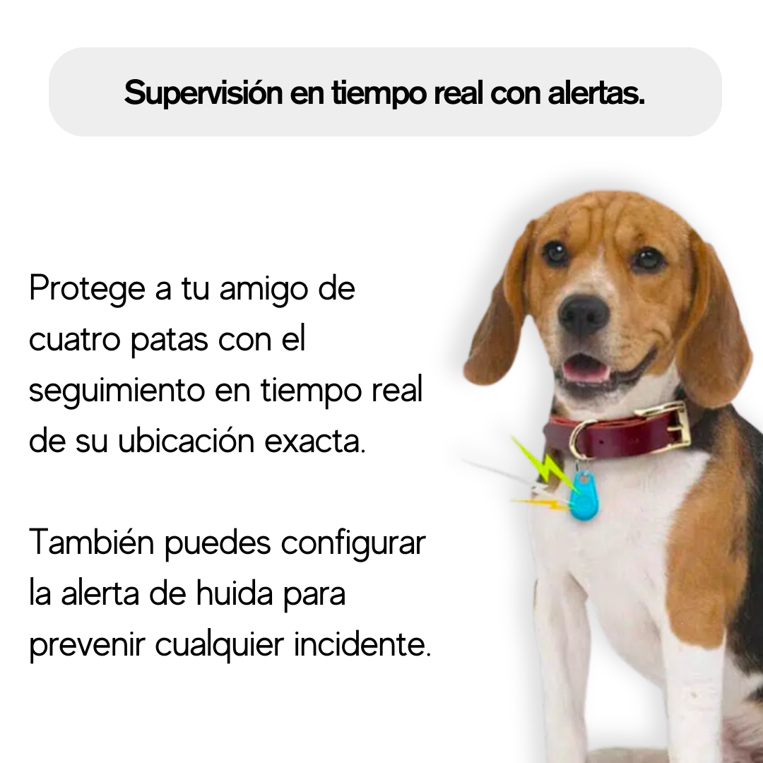 GPS para Perros y Cachorros - Sin Suscripción - Práctico Localizador