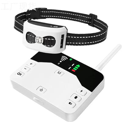Valla Inalámbrica & Collar de Adiestramiento para Perros 2 en 1 - PawGuard