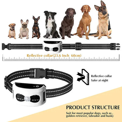 Valla Inalámbrica & Collar de Adiestramiento para Perros 2 en 1 - PawGuard